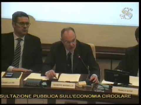 Roma - I risultati della consultazione pubblica della Commissione Ambiente (17.05.16)