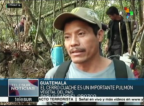 Guatemala: campesinos sofocan incendio forestal en cerro Cuache