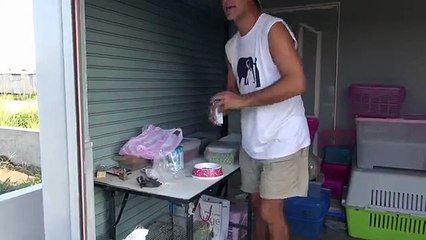 Trova due piccole lontre per terra: appena mette in terra la ciotola, aprite bene le orecchie!