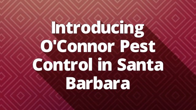 O'Connor Pest Control Company in Santa Barbara