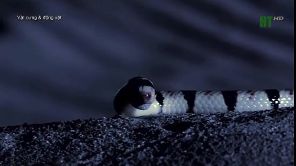 [Special stage] SEVENTEEN - girl group medley, (3)