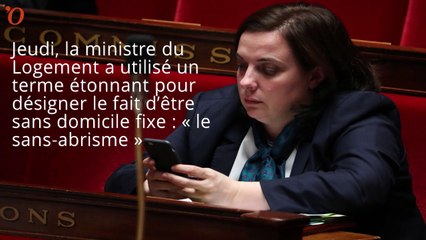 Emmanuelle Cosse parle de «sans-abrisme» et devient la risée du web