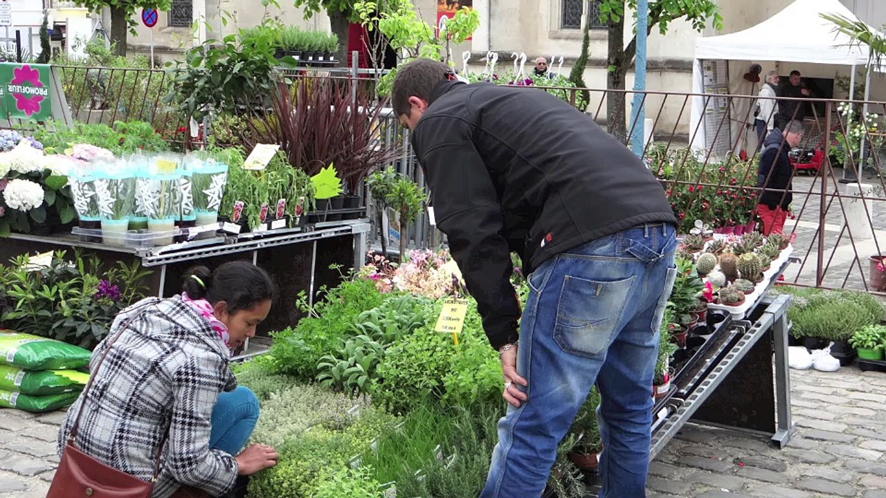 meru : Un salon du jardin bien animé en centre ville