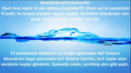 Fil suresi | Okunuşu ve Anlamı