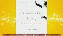 READ book  Beautiful Boy A Fathers Journey Through His Sons Addiction Full EBook
