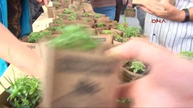 Denizli - Merkezefendi'de Halka Fesleğen Dağıtıldı Mesir Macunu Saçıldı