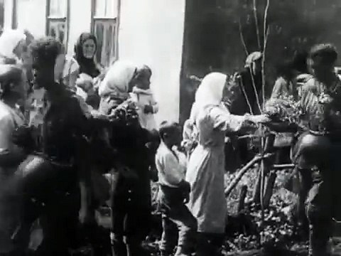 Николаев и область. Август 1941 (Немецкая хроника)