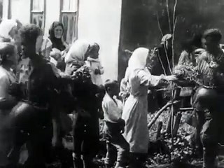 Николаев и область. Август 1941 (Немецкая хроника)