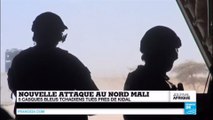 MALI - 5 casques bleus tchadiens tués près de Kidal dans une embuscade d'une violence sans précédent