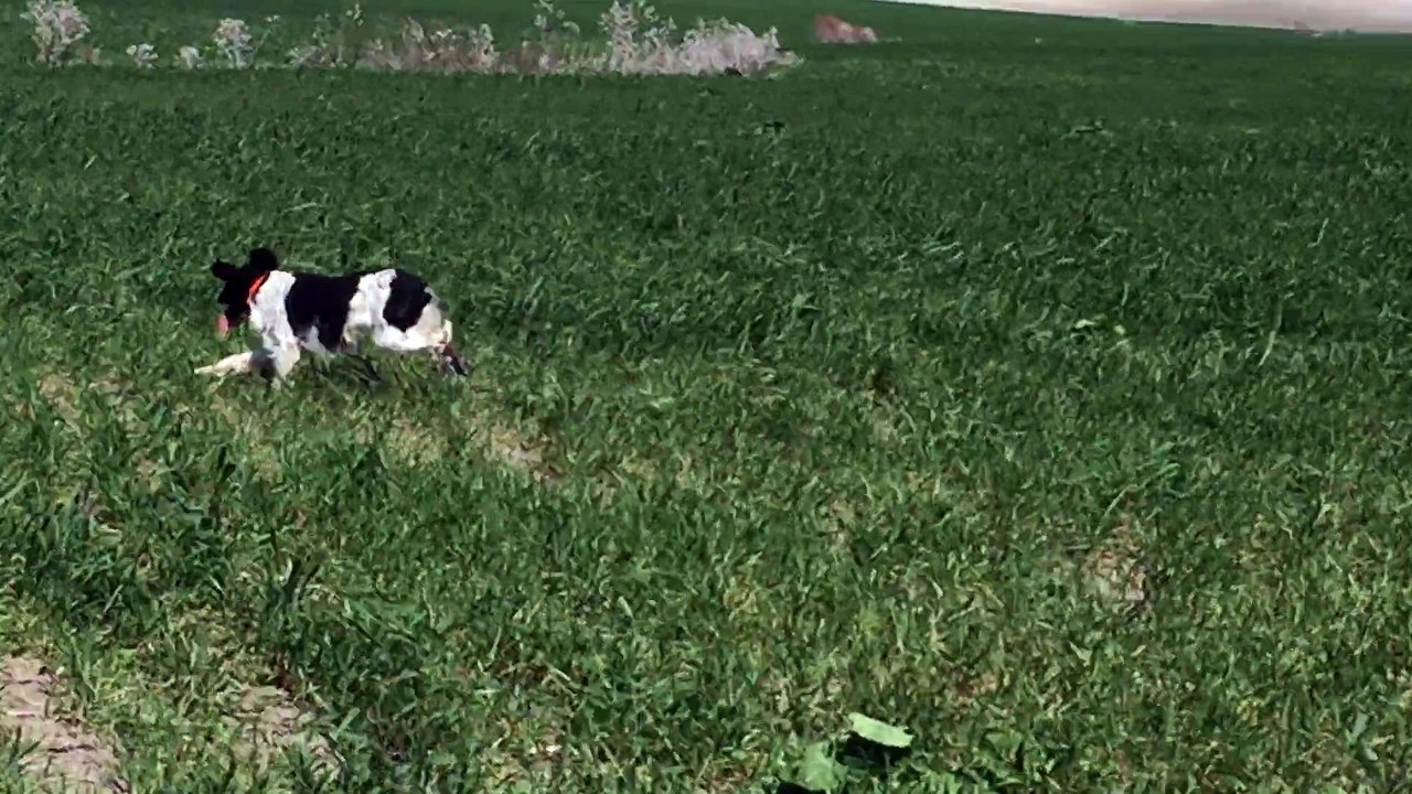 Jordan à l'entraînement en Andalousie - Février 2016