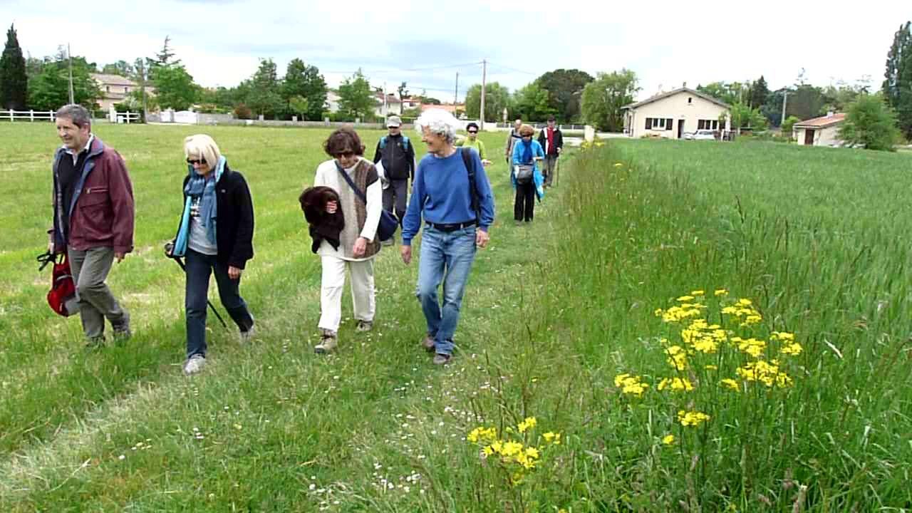 Grepiac-19-05-2016