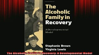 READ book  The Alcoholic Family in Recovery A Developmental Model Full EBook