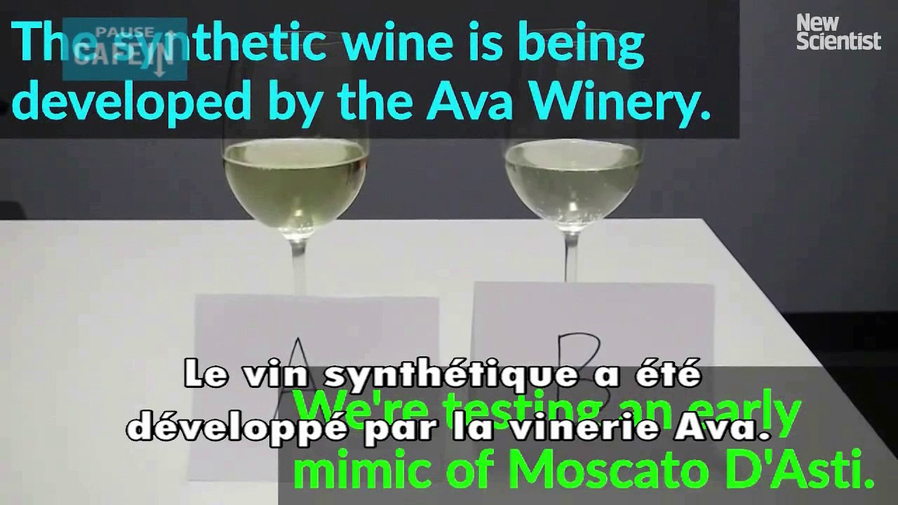 Test d'un vin synthétique
