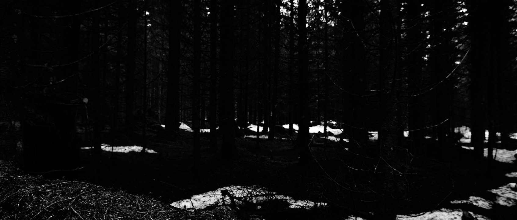 Kaufmann Frust - Sommermelodie (prettyinnoise.de Premiere)