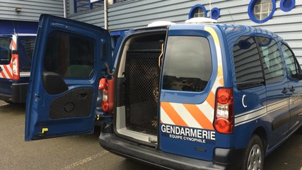 Un maître de chien à la compagnie de gendarmerie
