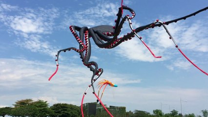 Un cerf volant géant