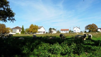 Le PLUI : un outil au service de l'avenir des territoires