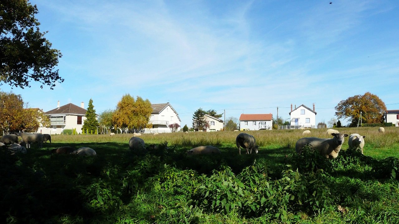 Le PLUI : un outil au service de l'avenir des territoires