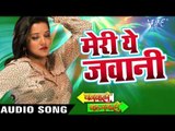 मेरी ये जवानी - Gharwali Baharwali - Monalisa - Bhojpuri Hot Songs 2016 new