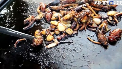 Jackass in Russia Funny Videos Part 15