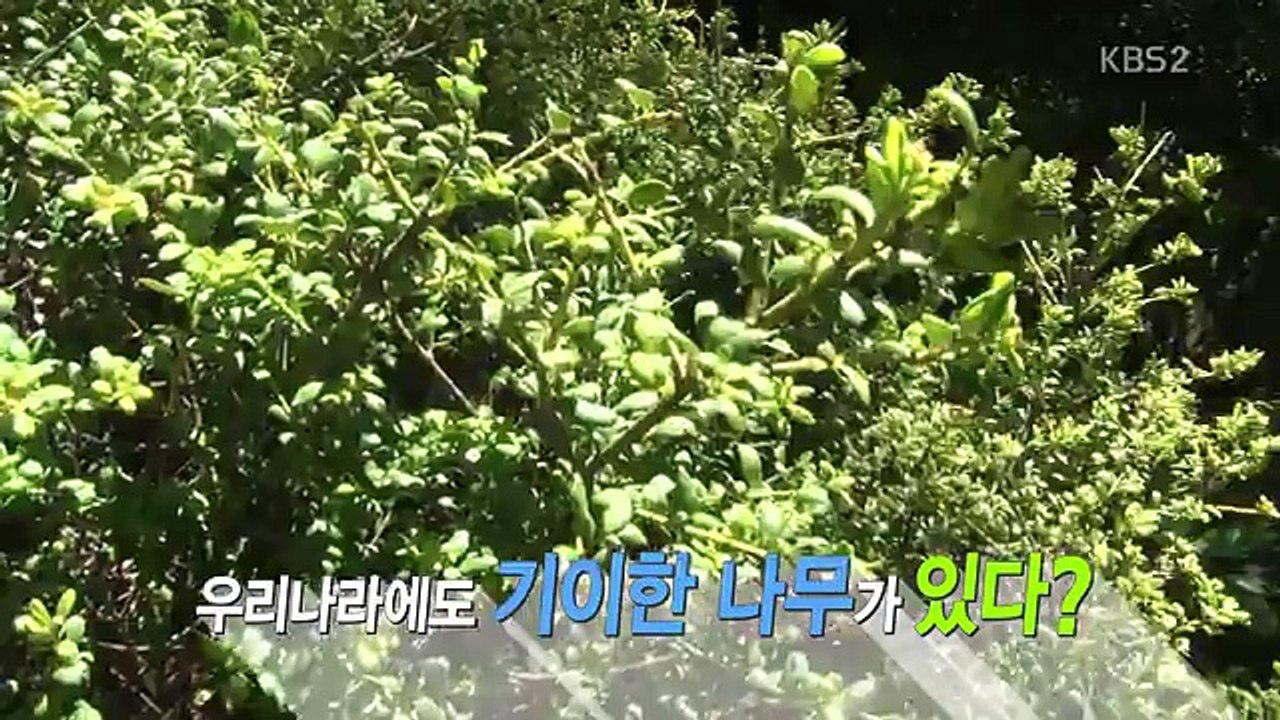 VJ 특공대.E810.160520