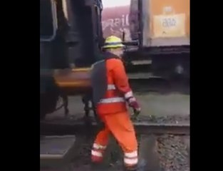 I'll never complain about my job again!