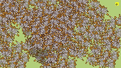 Expliquez-nous... le tabagisme en France