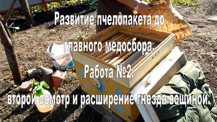The development of bee packages. Work №2: Second Inspection and expansion honeycomb nest.