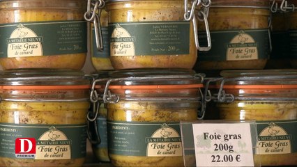 Fin du vide sanitaire, la métairie neuve va recevoir des canetons