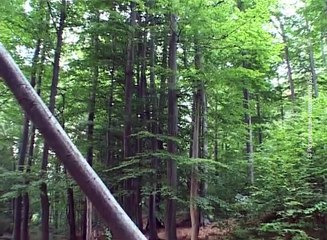 Tribina o geodiverzitetu i geoparkovima, 20. maj 2016. (RTV Bor)