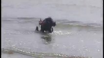 Cagnolino Disabile per la Prima Volta al Mare con le Rotelle