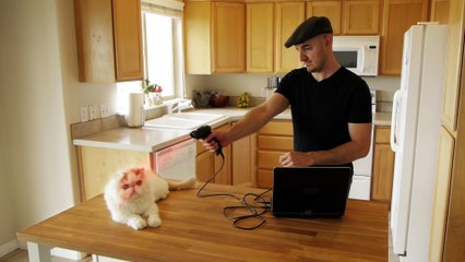 Catzooka - Le lanceur de chat