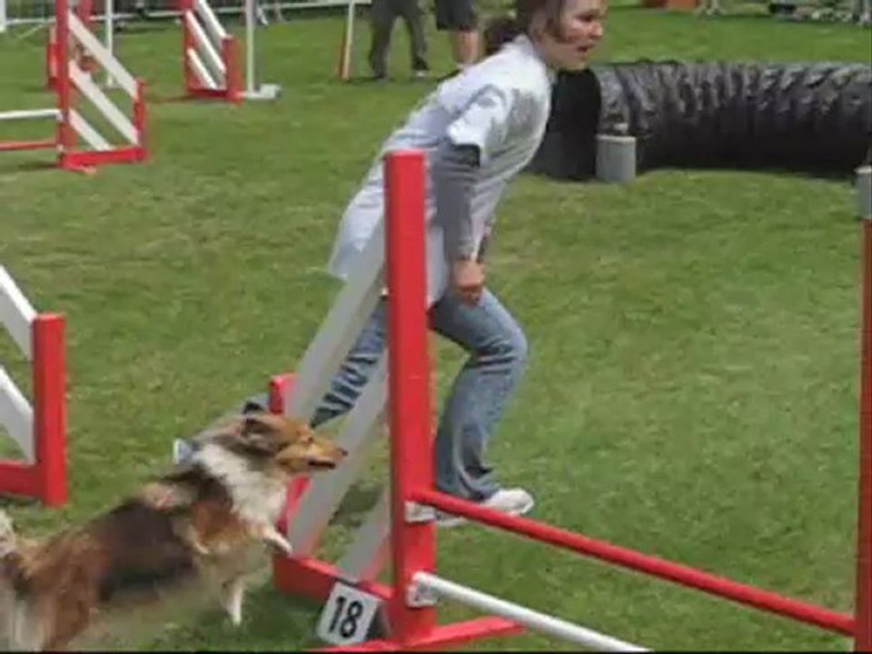 Agility demo