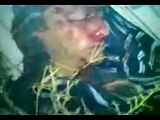 درعا :: ابطع :: شهداء المجزرة التي ارتكبها النظام بحق المدنيين العزل :: 26/9/2012