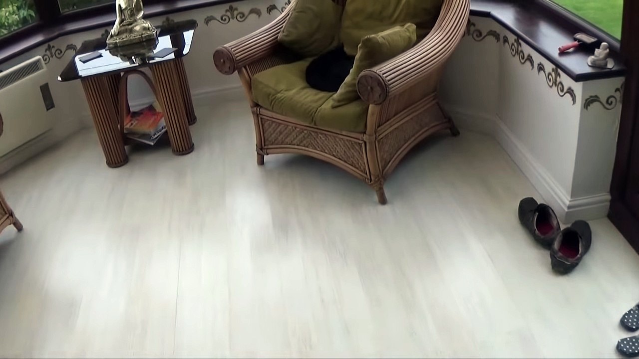 How To Train a Cat