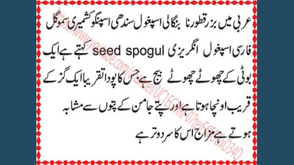 ispaghol Ke Fawaid  ¦  isabgol Ke Fawaid Urdu