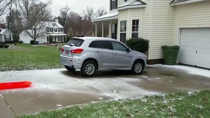 Bulldog Sledding Fail