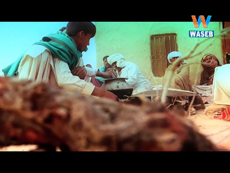 Waseb Rang, Promo