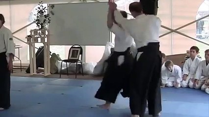 Top 10 Videos Women Using Aikido To Self defense