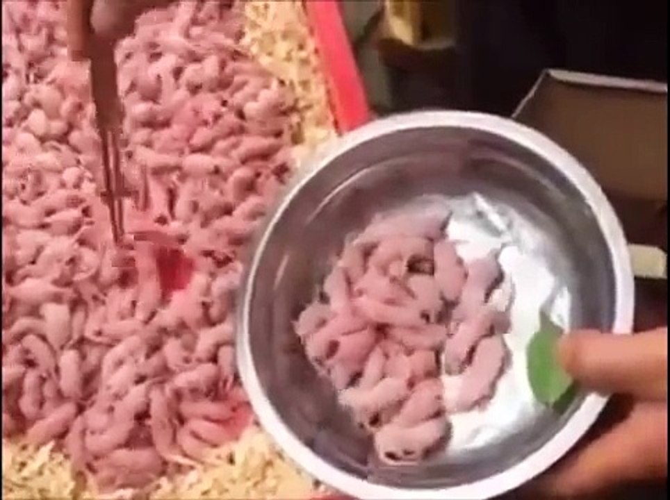 Un homme mange des souriceaux vivants