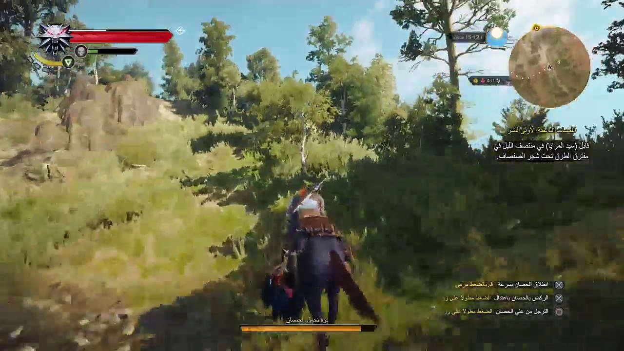 The witcher 3 (18)