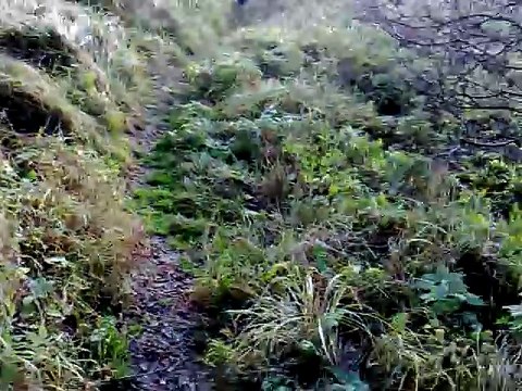 Dali wujasowi ściągnąć bucha z wiadra! Nie spodziewali się że aż tak go wykręci! (1)