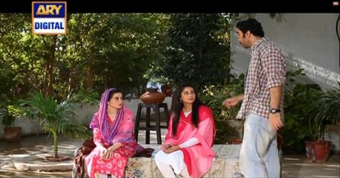 Shehzada Saleem Episode 74 on Ary Digital in High Quality 20th May 2016