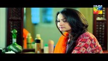 Sehra Main Safar Eds 22 L    HUM TV Drama 20 May 2016
