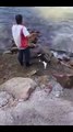 Cat goes fishing with its owner