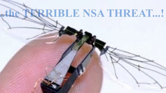 DARPA/NSA: New LOONEY High Tech Robotic Flying Insects (how to KILL THEM...!)