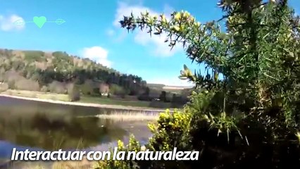 12 simples formas de mejorar tu salud
