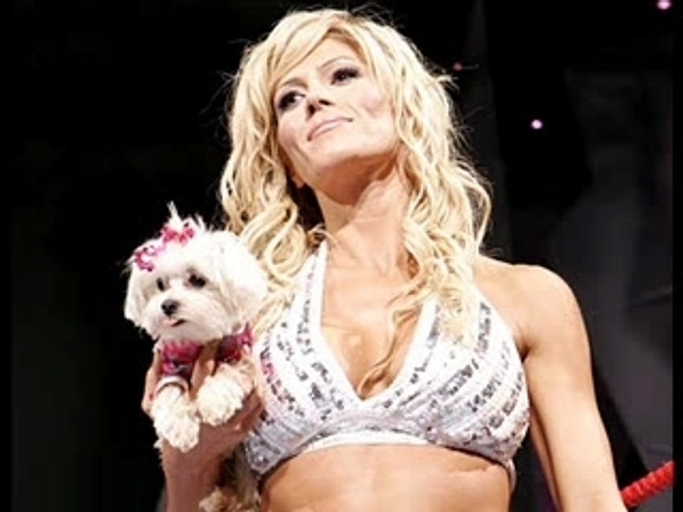 Torrie Wilson tribute
