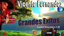 Vicente Fernandez Lo Esencial Sus Grandes Exitos de Antaño Mix