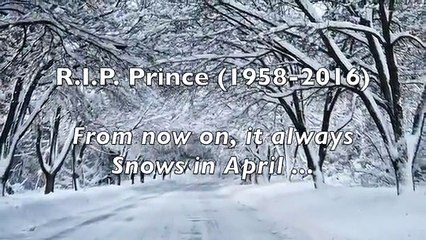 R.I.P. Prince - Sometimes It Snows In April